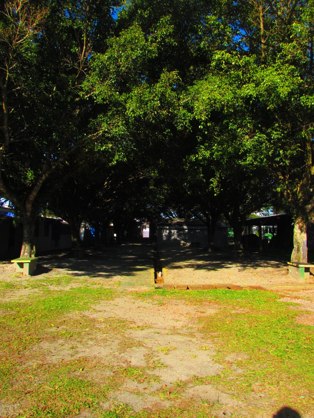 Área arborizada